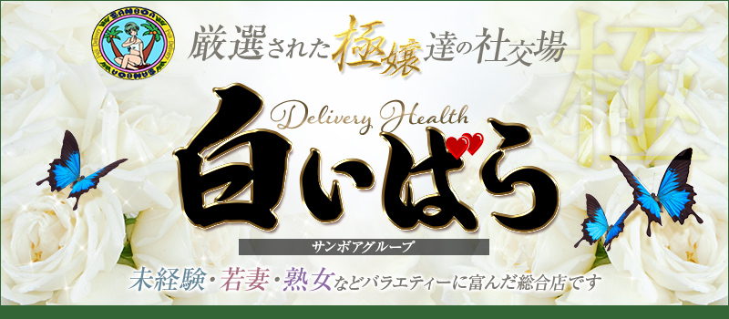 白いばら (サンボア２号店)